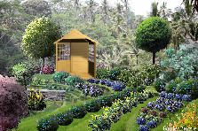 Garden design:Rice Rice Baby