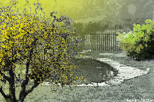 Garden design: Garden design:lago