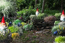 Garden design: Garden design:qqq