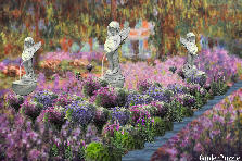 Garden design:watering the flowers