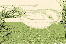 Garden design:Bird by a house