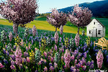 Garden design:,,,,,,, Garden design:countryside home