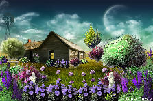 Garden design:Purple delight