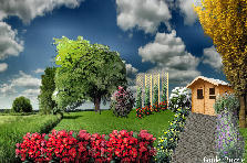 Garden design:home