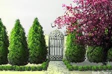 Garden design:ureduvanje na dvor so zelenilo Garden design:ureduvanje dvor