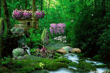 Garden design: Garden design:Misty river