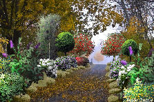 Garden design:Rocky Road