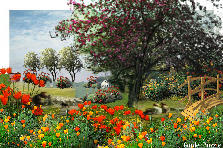 Garden design:UNDER THE APPLE TREE