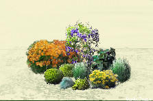 Garden design: Garden design:roses