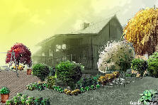 Corner View - Autumn