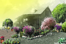 Corner View - Summer