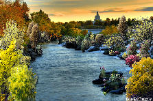 Garden design: Garden design:Autumn