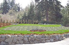 Garden design:fairway rock wall & lawn