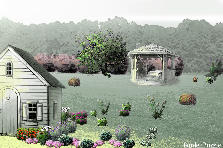 Garden design:Back Yard