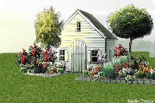 Garden design: Garden design:Back Yard