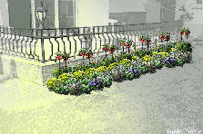 Garden design: Garden design:pergola donji zidić