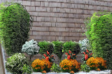 Garden design: Garden design:shower wall