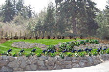 Garden design:upper rockwall