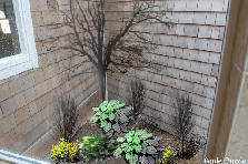 Garden design:winter corner shower