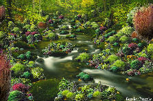 The Mysterious Trickling Brook - Autumn