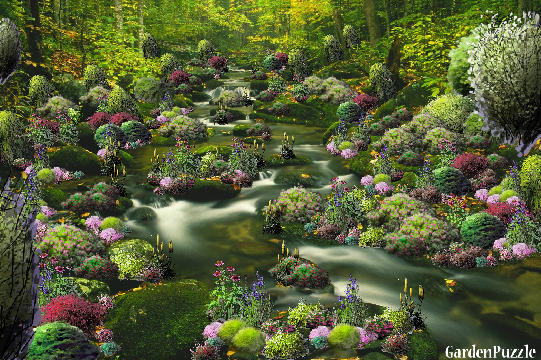 Garden design:The Mysterious Trickling Brook - Summer
