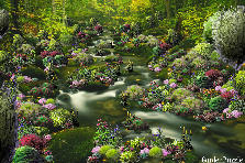 The Mysterious Trickling Brook - Summer