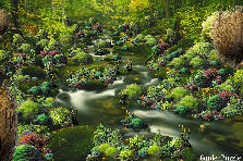The Mysterious Trickling Brook - Spring