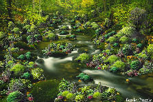 The Mysterious Trickling Brook - Winter