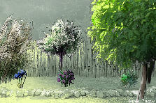 Garden design: Garden design:first