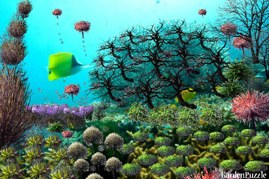 Garden design:Dive in the garden - Winter