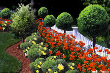Garden design:Fence