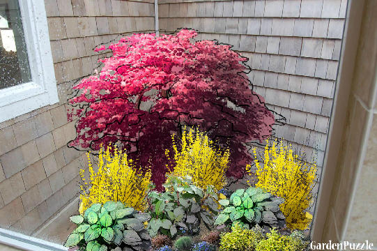 Garden design:winter corner shower6 - Spring