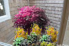 winter corner shower6 - Autumn