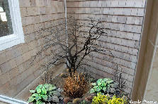 winter corner shower6 - Winter