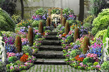 Garden design:Crumbled Old Staircase, comes alive.