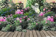 Garden design: Garden design:An angel visited my garden