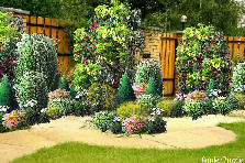 Garden design: Garden design:09-04-2012