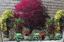 Garden design:shower wall 7
