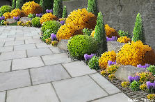 Garden design: Garden design:11-04-2012