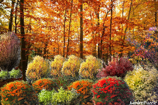 Garden design:Changing leaves - Autumn