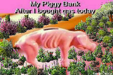 Garden design:Had to go with the scene of today. This little guy almost didn't make it after they took him to the nearest gas station to supliment the only 10 dollars in their wallet. They had this fat little guy saved with all toonies... 2 dollars in coins each. Lots of money. Hundreds of dollars to fill a small Golf Car, from Volkswagon. The gas pump was automatic and the pump flung itself in the air and straight for us and said, GIVE ME YOUR WALLET. I WILL POST THE PICTURE I TOOK LATER. SAD. Poor l Garden design:Gas ate my piggy bank