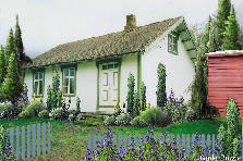 Garden design:Old cabin in the mountain border - my version