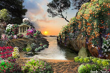 Garden design:Private paradise