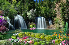 Garden design:Plenty of Water