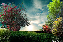 skyline 2 - Autumn