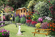 Garden design:16042012