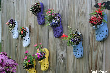 Garden design: Garden design:Croc Shoe Planters
