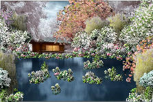 Garden design:On a day that I was very stressed, quite overwhelmed by the anxieties in my life, and the tears flowed fast and freely, I decided to put on some soft calming melodies and lay my head back. I fell asleep. The music took me into calm waters and a place of sernity. A small still place surrounded by beautiful white and pink trees, on a glass lake. Garden design:Calm Waters, and Sernity