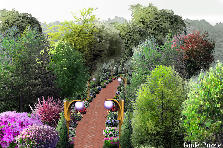 Garden design: Garden design:Let's take a walk