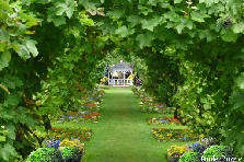Garden design: Garden design:Garden Tunnel